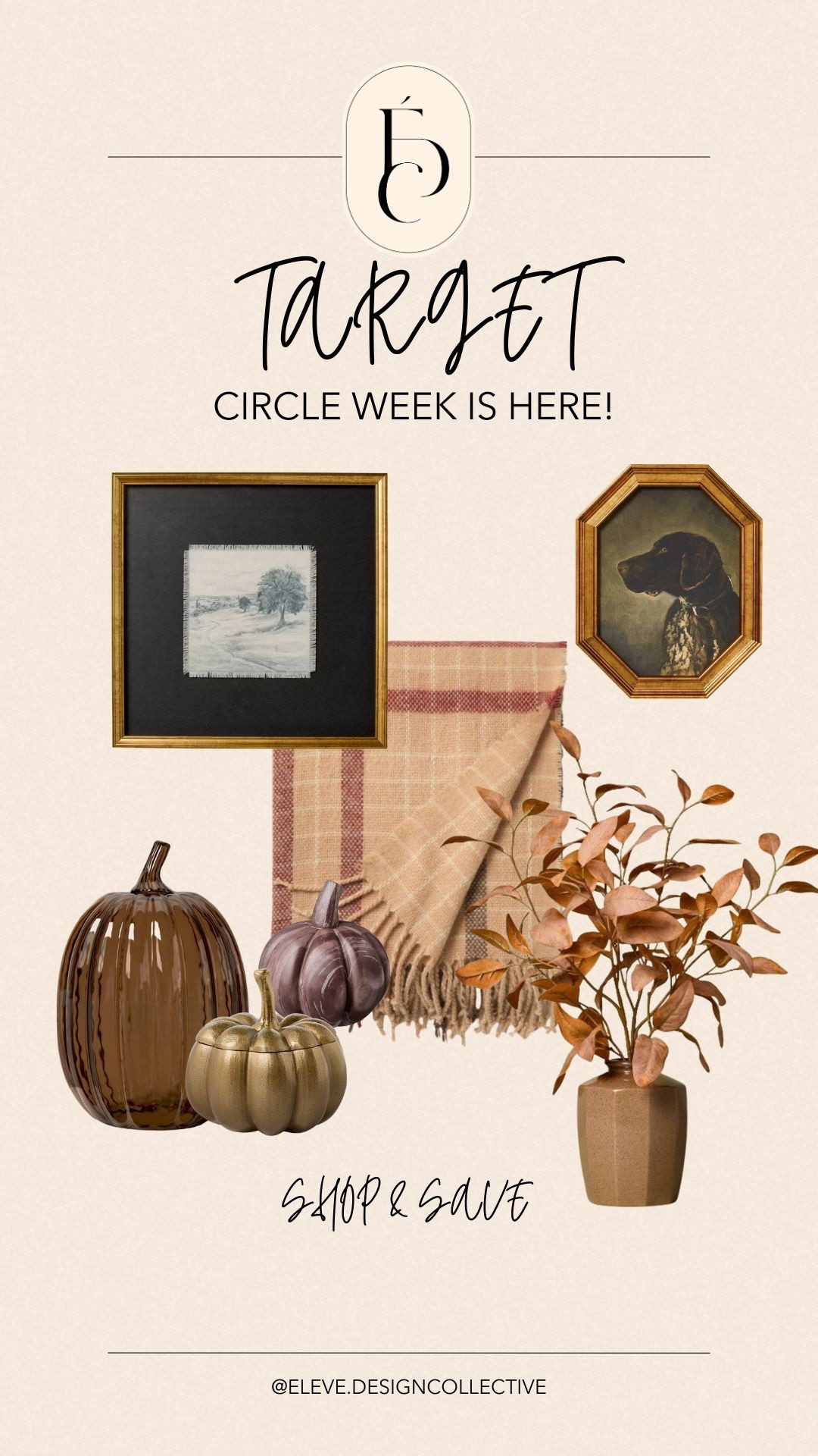 Target circle deals on home decor for fall 🖤