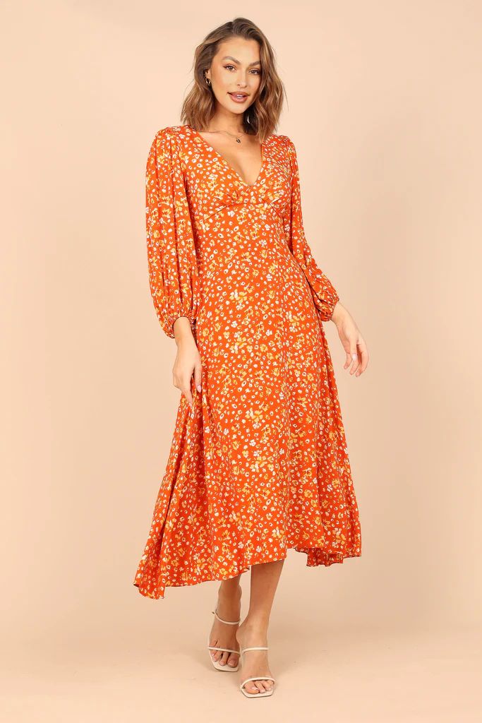 Aron Long Sleeve Maxi Dress - Orange Floral | Petal & Pup (US)