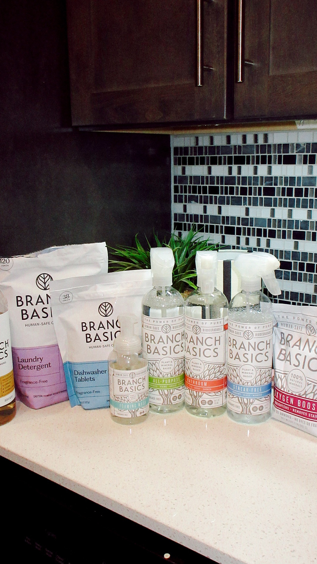 One cleaning system, so many uses. 🤍

The Branch Basics Premium Starter Kit has simplified my entire cleaning routine—from the kitchen and bathroom to laundry and glass. Plus, the Oxygen Boost is a must-have for stubborn stains.

✨ Shop it in my LTK and use code MOLLIERUE for 10% off!

Have you tried Branch Basics yet? #ad

#LTKmorningroutine #LTKdayinmylife #LTKHome
