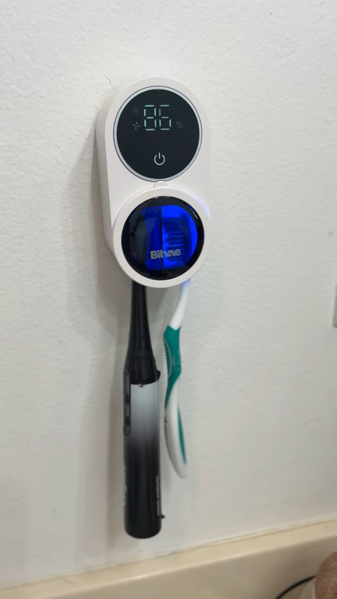 Toothbrush Sanitizer 

#LTKHome #LTKFindsUnder50 #LTKVideo