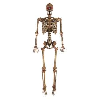 Home Accents Holiday 5 ft Halloween Posable Decayed Skeleton Hanging Décor with LED Eyes 2031-60... | The Home Depot