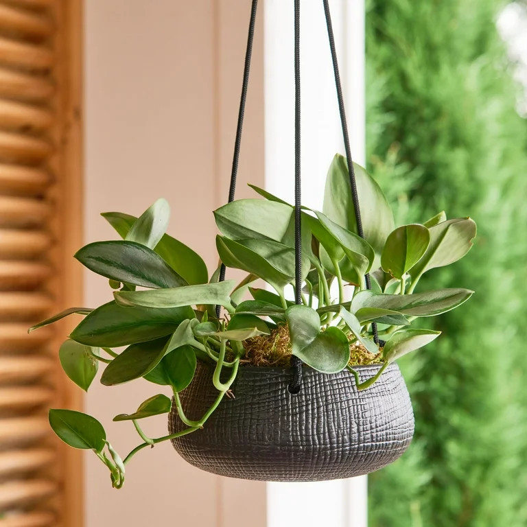 Better Homes & Gardens 8in Black Ceramic Tiffany Hanging Planter | Walmart (US)