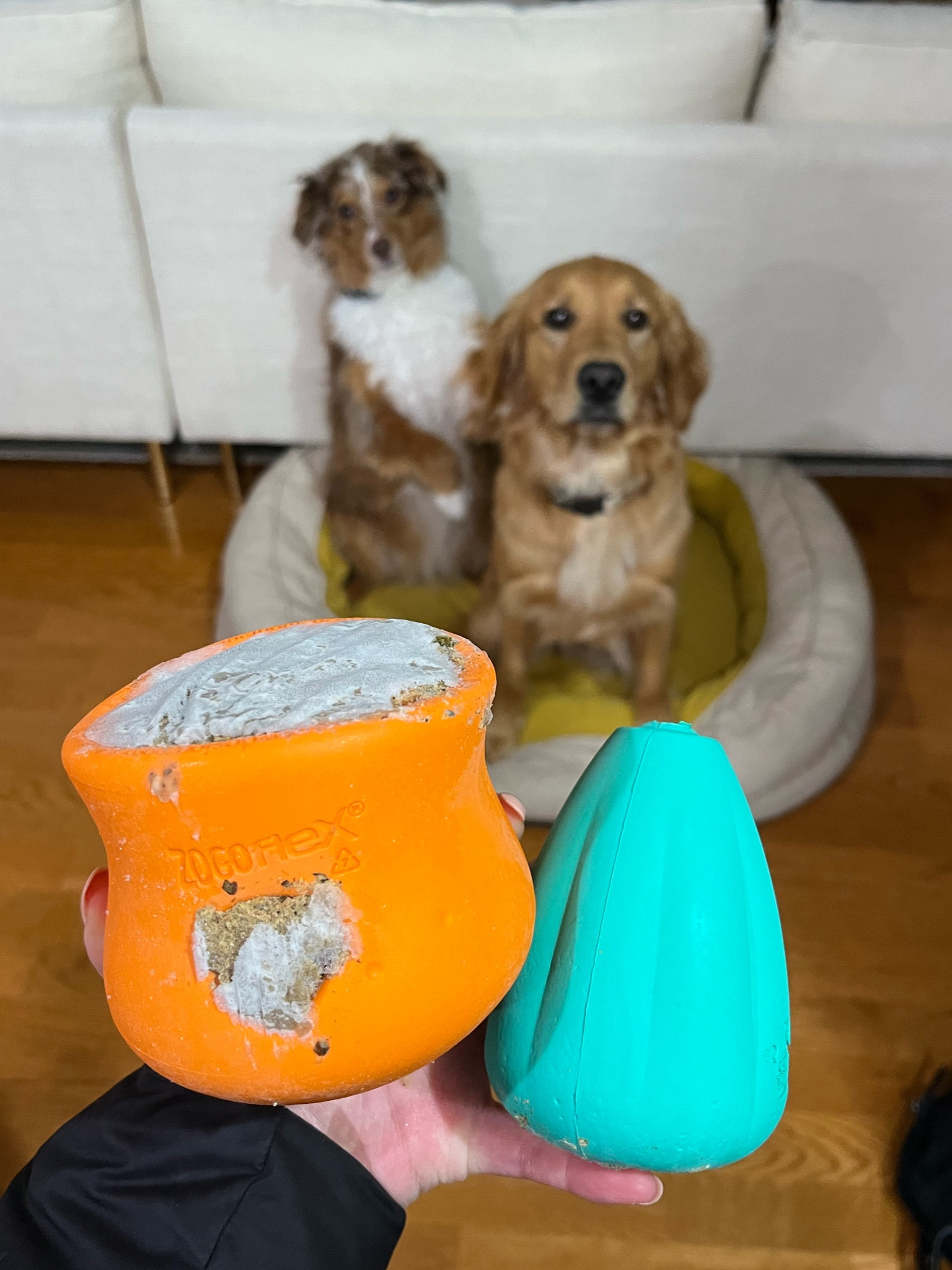 Frozen prepped dinner tonight! 