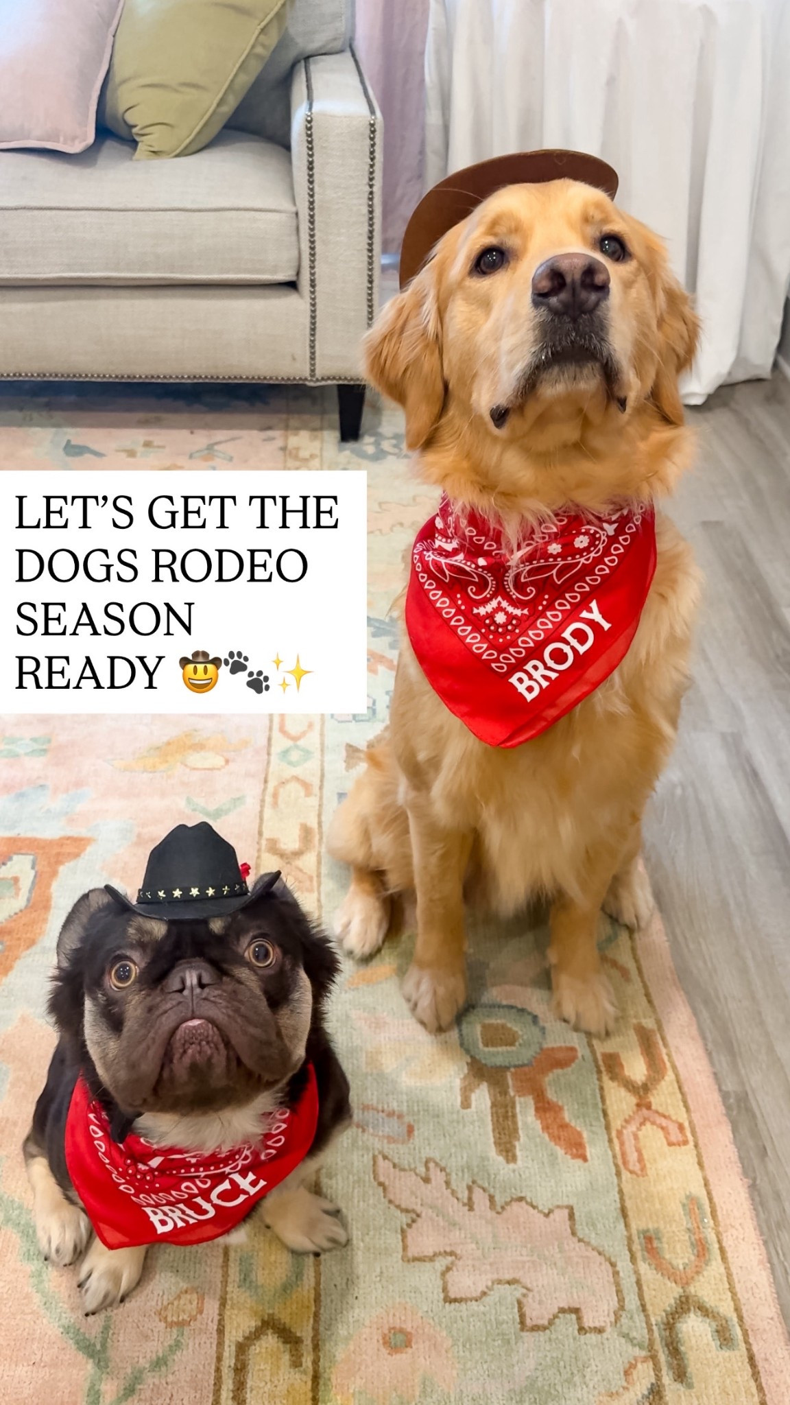 Links to the cute dog cowboy outfits & the items I used to personalize them 

The font I used is called Rabble Rouser 

#LTKootd #LTKKids #LTKSeasonal