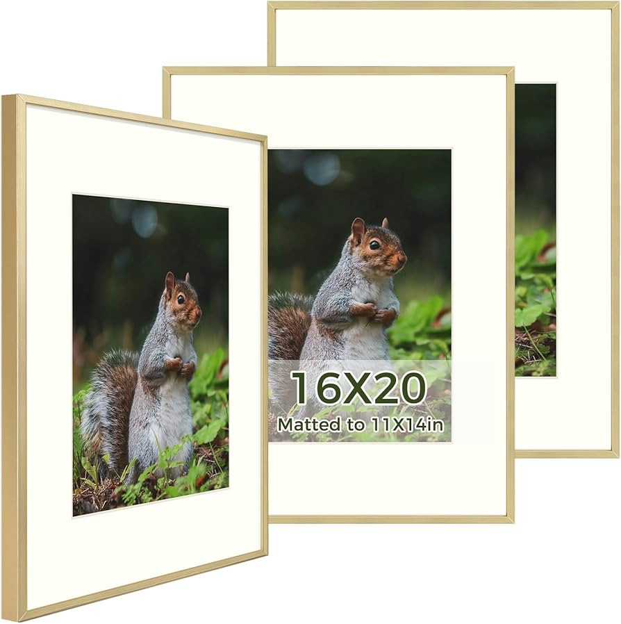 Golden State Art - 16x20 Metal Picture Frames with Mat - Display 11x14 Photo or 16x20 Poster - 16... | Amazon (US)