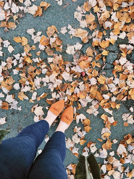 When you match the leaves 🍂

icedcoffeeandsunflowers #bloggersliveboston #bostonblogger #bosblogger #bloggersofboston #fashionblogger #beautyblogger #lifestyleblogger #instablogger #ootdblogger #styleblogger #doseofstyle #discoverunder2k #midsizeblogger 

#LTKfindsunder50 #LTKfindsunder100 #LTKSeasonal