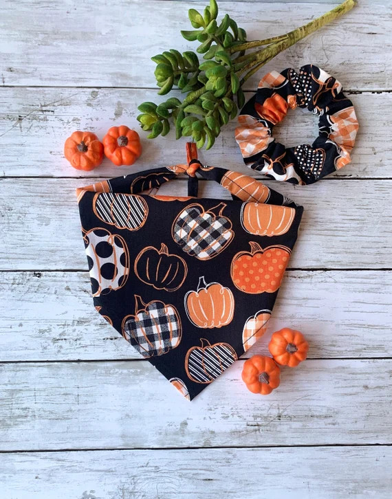 PERSONALIZED PUMPKINS Dog Bandana Pumpkin Patch Dog Bandana - Etsy | Etsy (US)