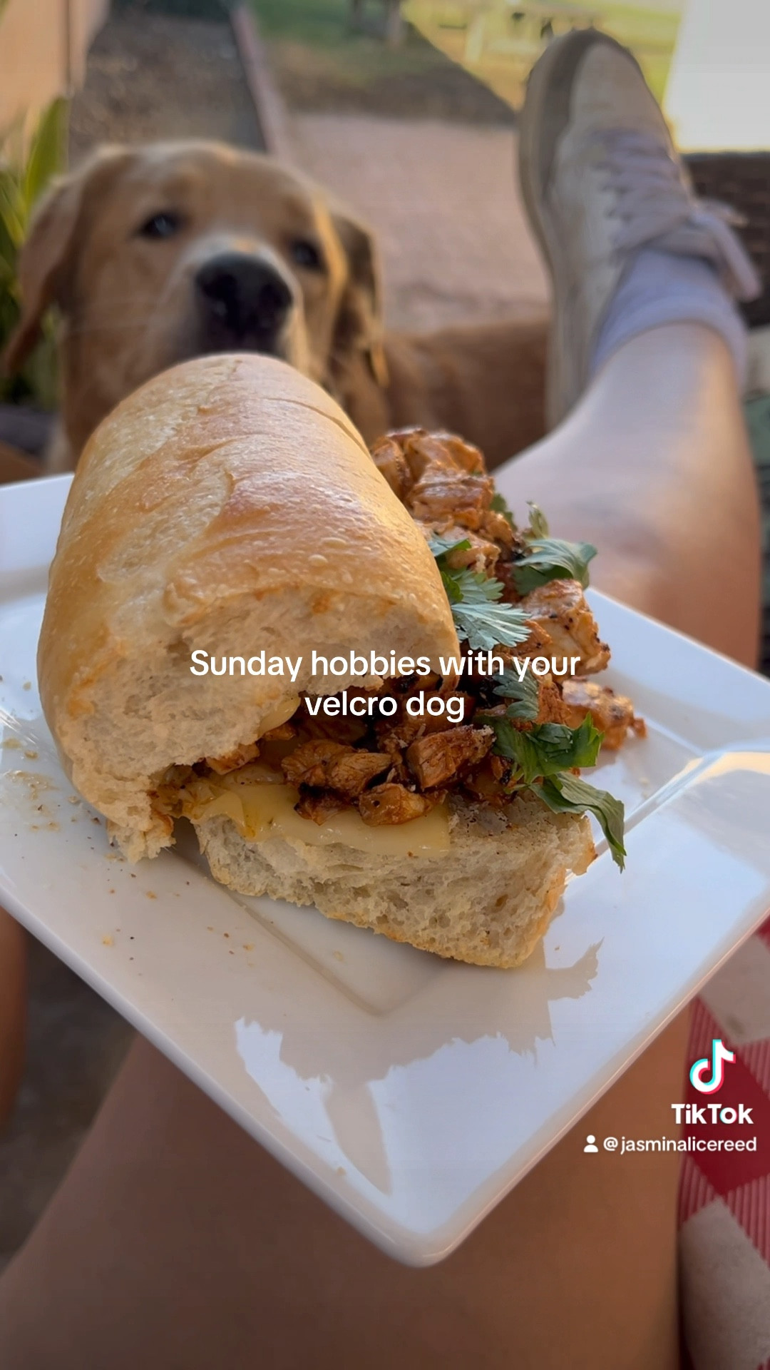 Sunday funday 

#LTKHome #LTKGiftGuide #LTKVideo