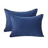 Homy Cozy 95247-INDIGO-1420-2PK Accent Pillow, Indigo | Amazon (US)