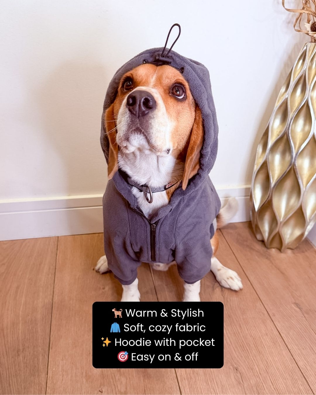 Keep your pup warm the cutest (and coziest) way 🐶✨ with these dog hoodies with pocket! Designed with soft, comfy fabric and an adorable pocket detail, they keep your furry friend cozy while adding extra style to every walk 💖🐾. Perfect for chilly days, outings, or lounging at home when your pet deserves comfort too 👀✨. Trust me, this is one outfit everyone will stop and compliment 💕

#doghoodie #petfashion #dogstyle #petessentials #dogclothes #furbaby #petparents #doglovers #cozypet #petcare #doglife #cutepets #petoutfit #dailycare #happydog #petlove #ltkpets #ltkfinds #petmusthaves #doginspo #stylishpets #petlifestyle #dogproducts #musthave 

 