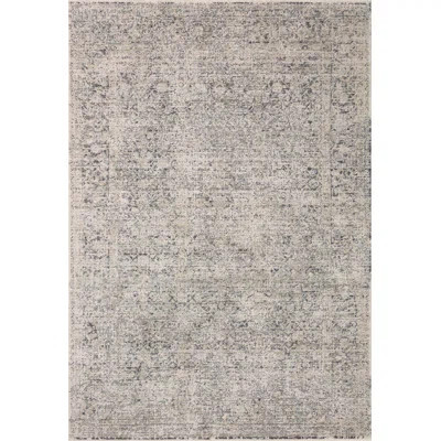 Amber Lewis x Loloi Alie Greys/ Beige/ Ivory Area Rug | Wayfair North America