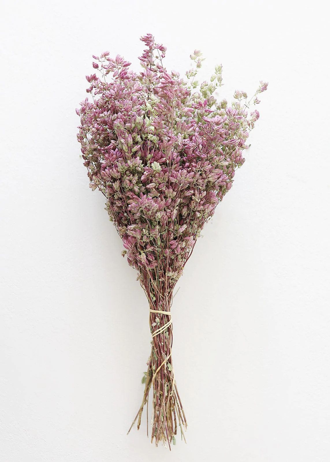 Purple Santa Cruz Oregano | Dried Herbs & Flowers | Afloral.com | Afloral