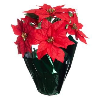 Red Potted Poinsettia with Green Foil by Ashland® | Michaels Stores