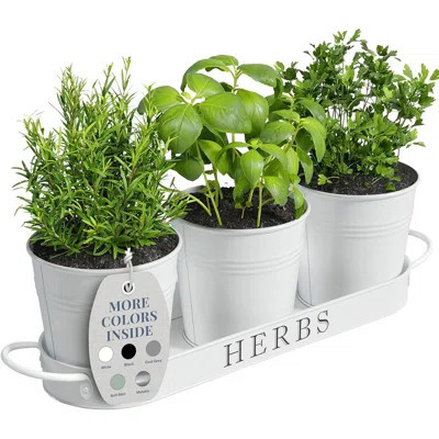 Designs Indoor Herb Garden Planter Set With Tray, Metal Windowsill Plant Pots With Drainage For Outdoor Or Indoor Plants, Set/3 (Black) | Wayfair North America