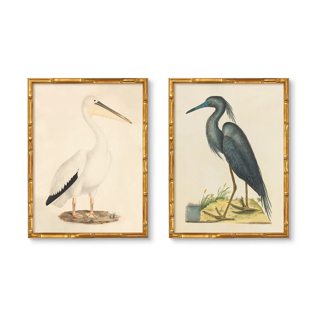 Vintage Blue Heron & Pelican Pair | Urban Garden Prints