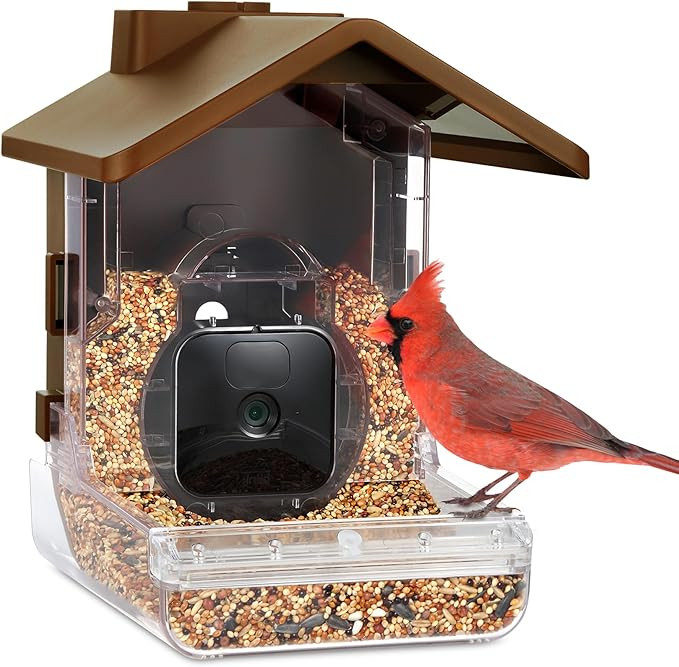 Wasserstein Bird Feeder Camera Case Compatible with Blink, Wyze & Ring Security Cameras Including... | Amazon (US)