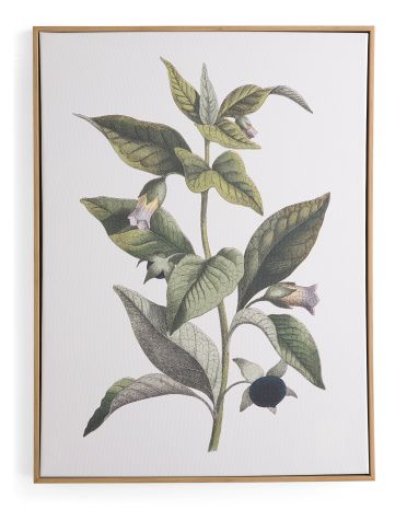 18x24 Nightshade Portrait Framed Wall Art | TJ Maxx