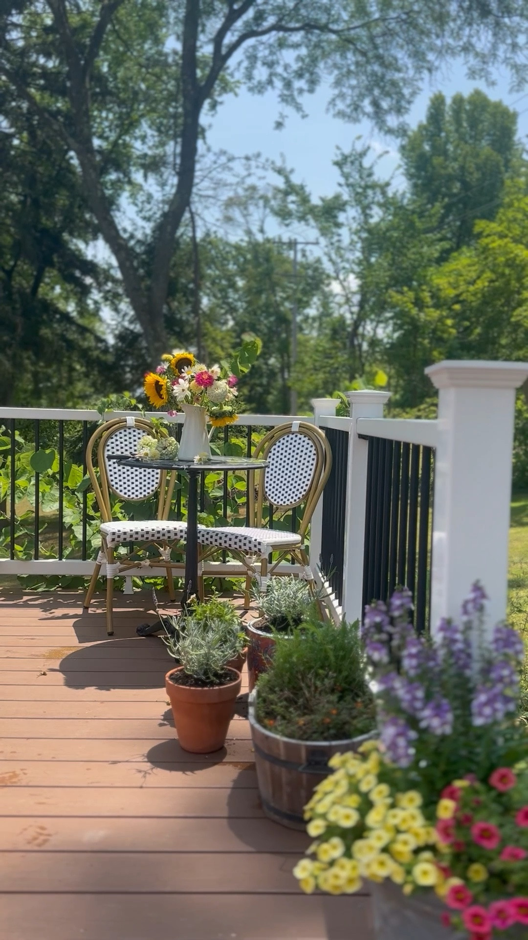 these bistro chairs are such incredible quality and so pretty 

#LTKHome
