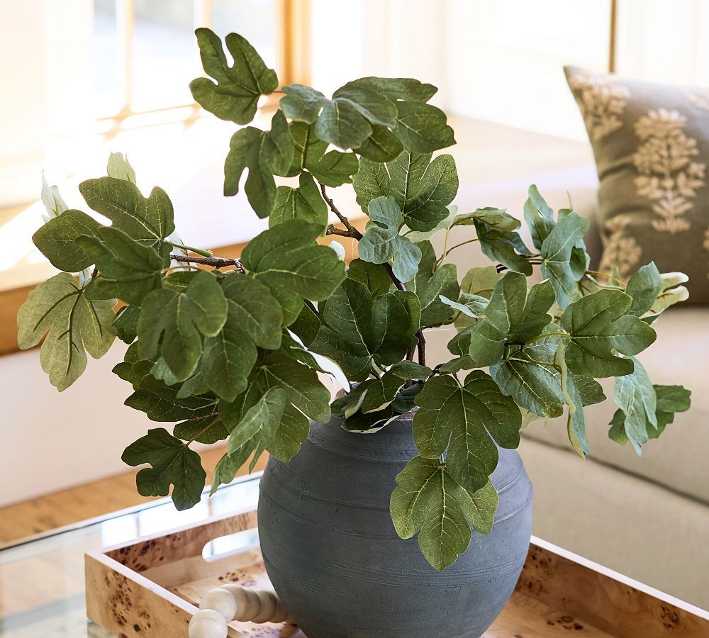 Faux Fig Leaf Branch | Pottery Barn (US)