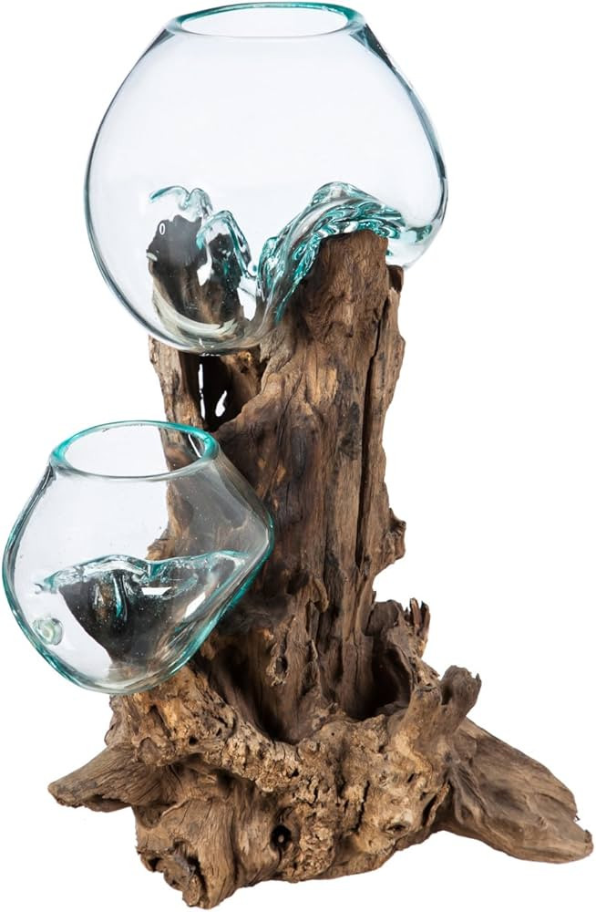 Cape Craftsmen Hand-Blown Blue Tinted Bubble Glass On Natural Teak Driftwood Terrarium | Home Dé... | Amazon (US)