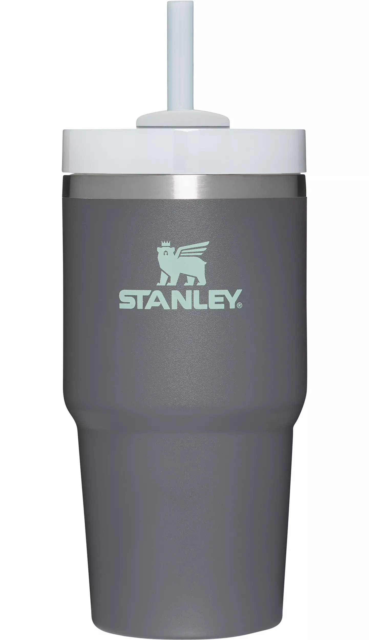 Stanley 20 oz. Quencher H2.0 FlowState Tumbler | DICK'S Sporting Goods