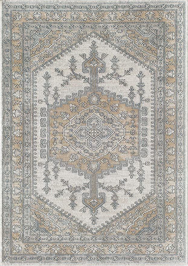 Rugs America Ludlow MD60B Charcoal Lancaster Transitional Vintage Area Rug, 8'0"X10'0" | Amazon (US)