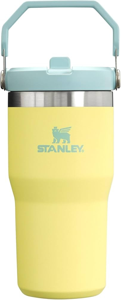 Stanley IceFlow Flip Straw Tumbler with Handle 20 oz | Twist On Lid and Flip Up Straw | Leak Resi... | Amazon (US)