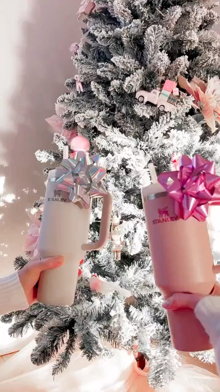 Stanleys for the fam 


#LTKGiftGuide #LTKFamily #LTKHoliday