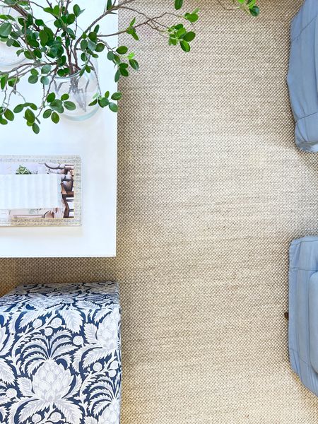 The best non shedding jute rug, a must for a high traffic space or an active family room!

#LTKstyletip #LTKsalealert #LTKhome