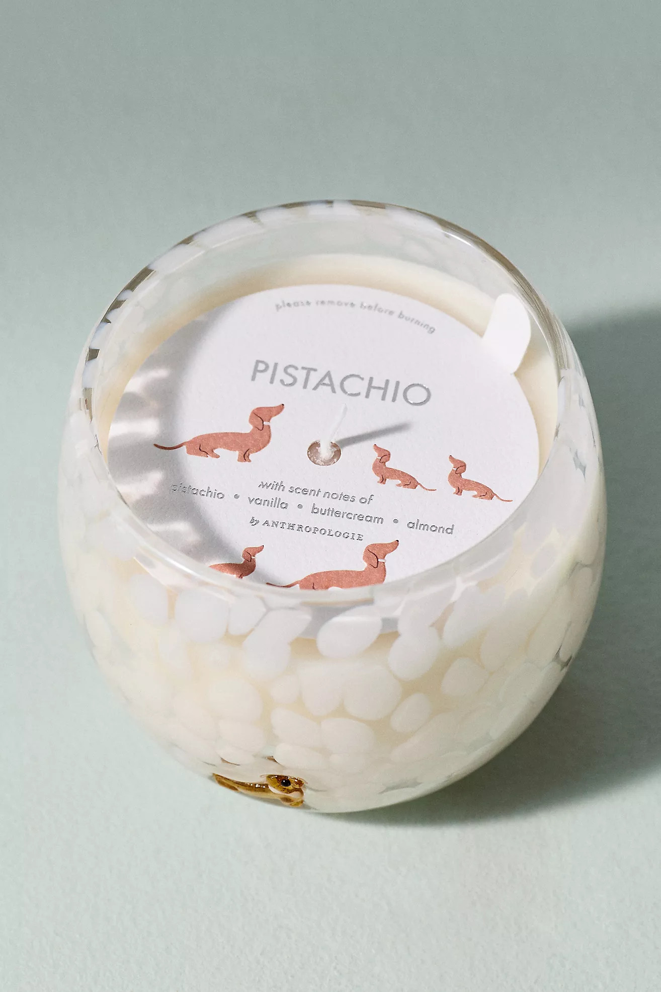 Confetti Icon Dachshund Gourmand Pistachio Glass Candle | Anthropologie (US)