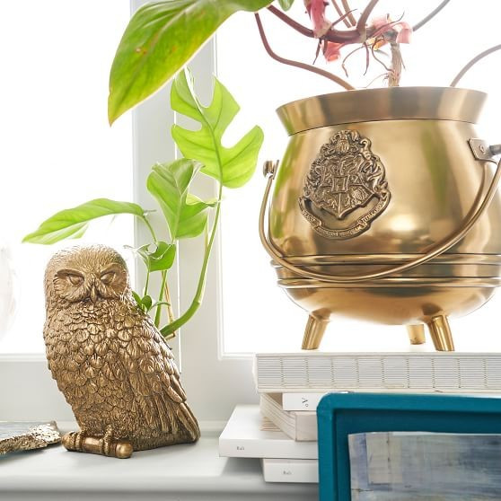 HARRY POTTER™ Cauldron Planter | Pottery Barn Teen