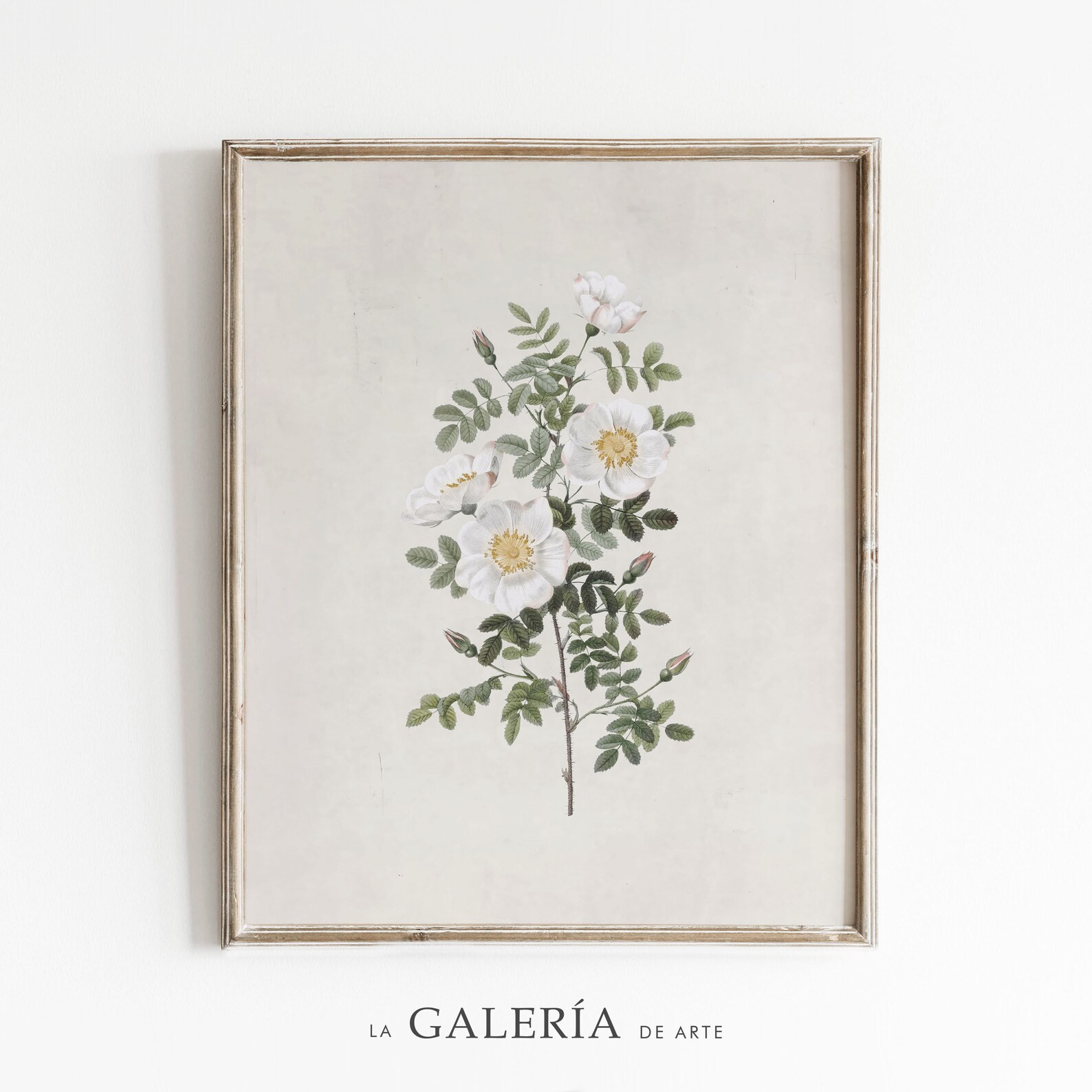 Wildflower Wall Art Prints | Botanical Art Print Set | Printable Gallery Wall Art Set | Art Print... | Etsy (US)