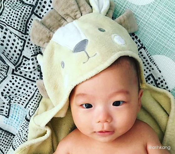 Lion Baby Hooded Towel | Pottery Barn Kids