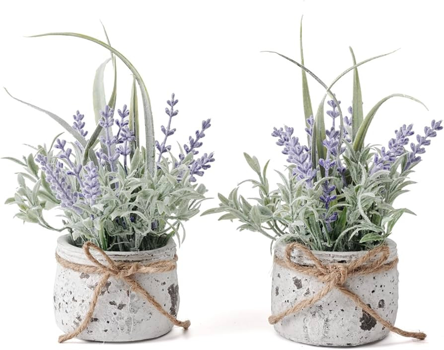 2 Pack Mini Artificial Plants Fake Lavender in Pot for Desk Shelf Bathroom Living Room Coffee Tab... | Amazon (US)