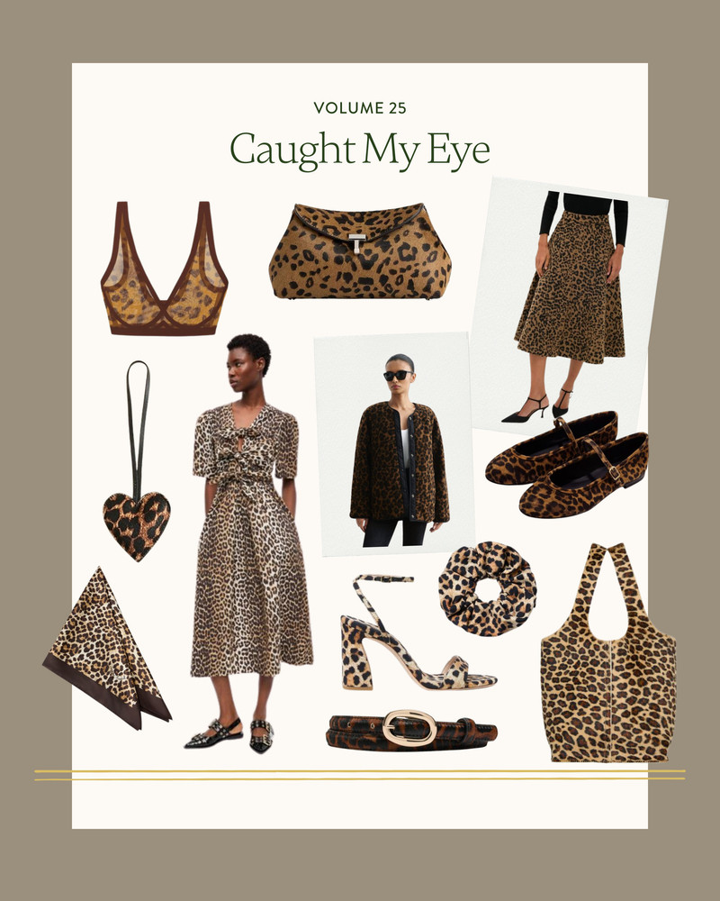 Caught My Eye | Vol 25

fall fashion finds leopard print trend 

 #LTKHoliday #LTKSeasonal #LTKStyleTip