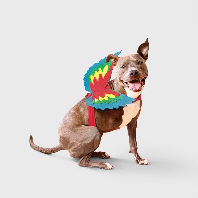 Parrot Wings Dog Costume Accessories - Boots & Barkley™ XXS/XS | Target