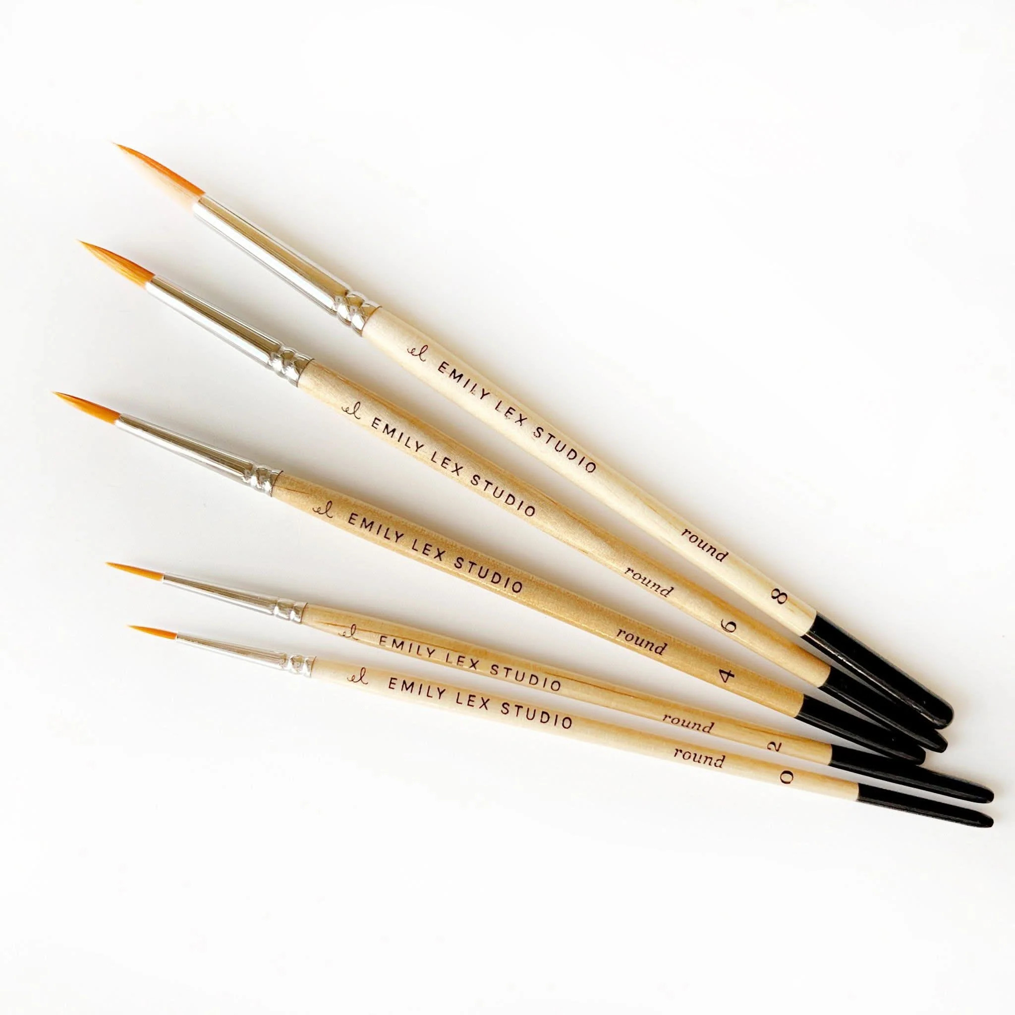 watercolor paintbrush | Emily Lex Studio