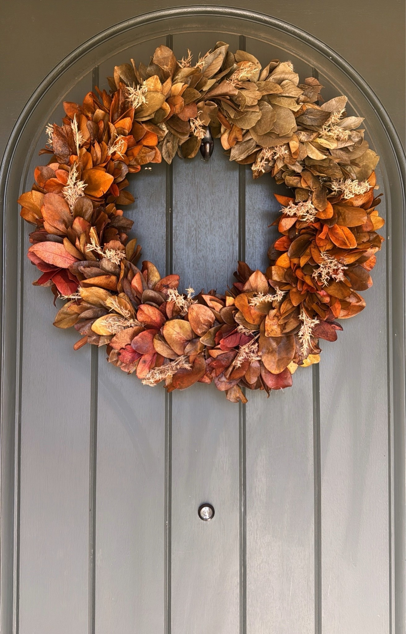 I recently saw this fall wreath online and I wanted to see how it was in person. For $45, this preserved ombré wreath is to die for! I absolutely love the colors against my front door!!! #fall #falldecor #home

#LTKU #LTKHome #LTKSeasonal