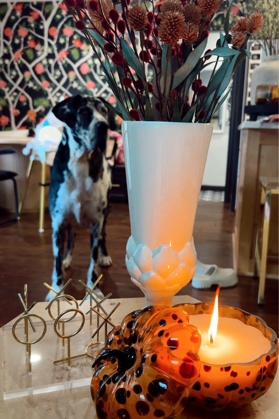 This fall candle is a must have!!

#LTKStyleTip #LTKHome #LTKSeasonal