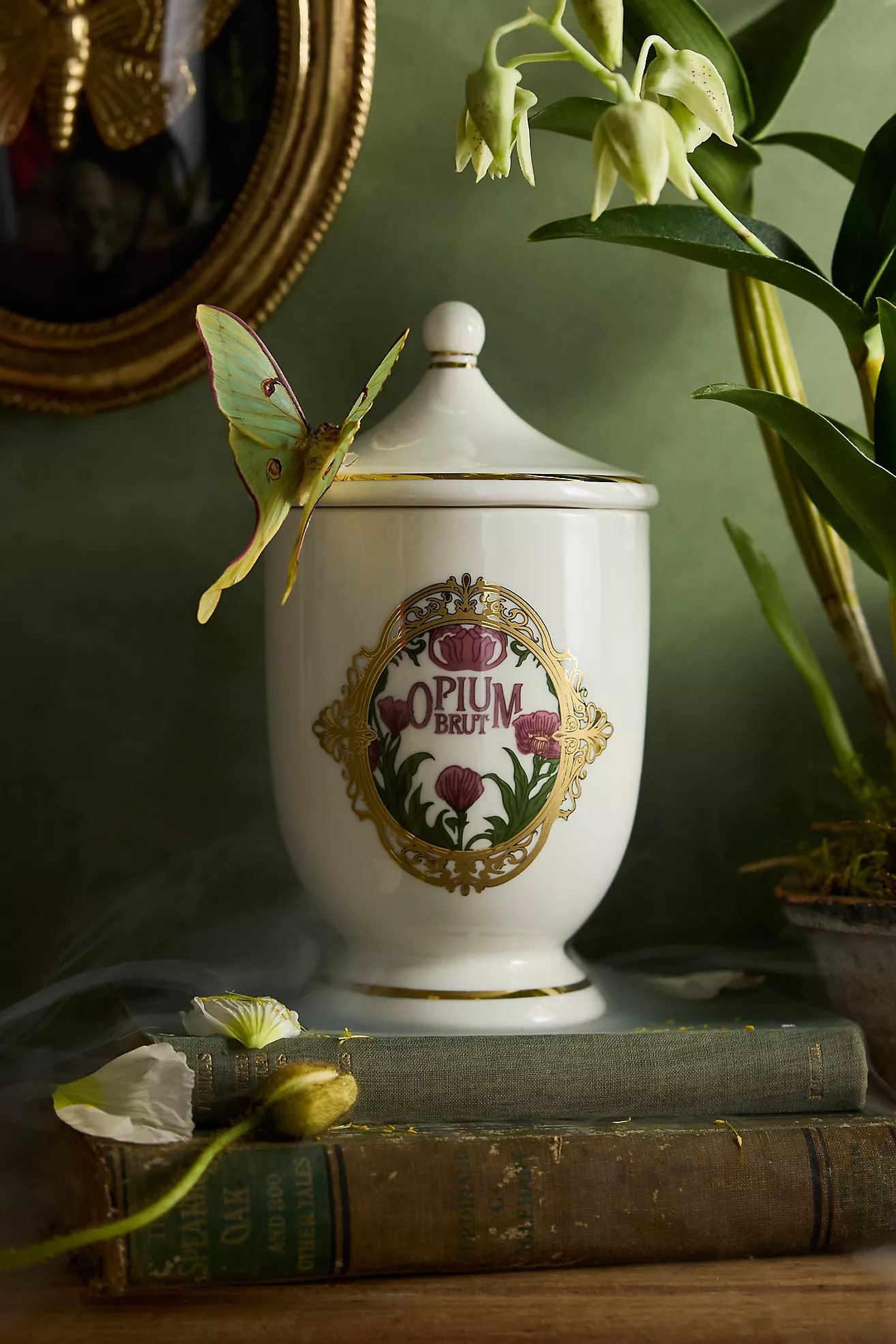 Stoneware Apothecary Jar | Anthropologie (US)