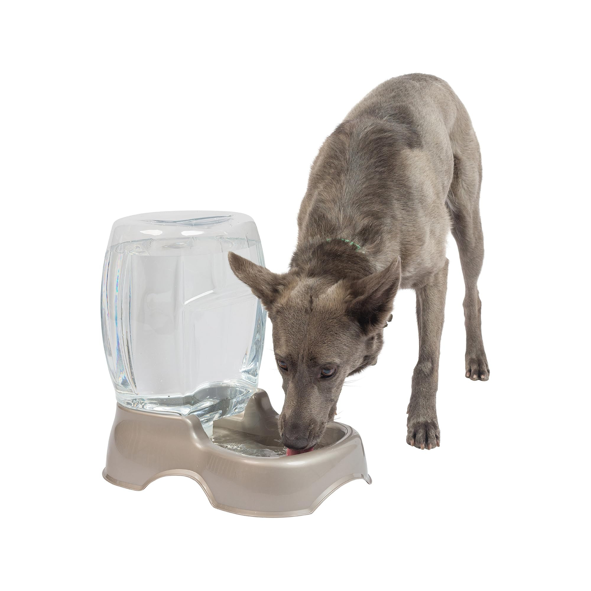 Petmate Pet Cafe Waterer Cat and Dog Water Dispenser 4 Sizes, 3 GAL, Pearl Tan, Made in USA | Amazon (US)