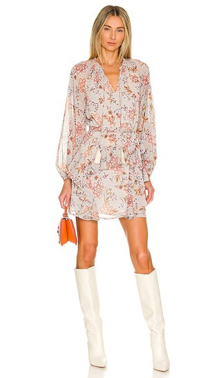 Alcha Mini Dress in Multi | Revolve Clothing (Global)