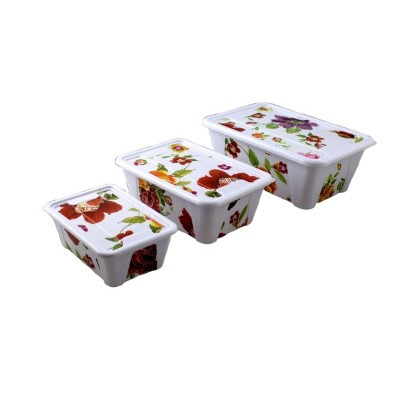 Home Collection 3-Piece Decorative Food Storage Containers with Snap Lids | Target