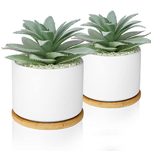 Hopewood Artificial Succulents Plant, Faux Agave Succulent Plant in Ceramic Pots with Bamboo Tray, Fake Potted Plants for Office Desk Living Room Decor(Set of 2) | Amazon (US)