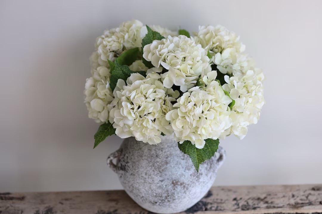 Create elegant, timeless arrangements with these realistic cream hydrangea stems from DexinFloral. Designed with soft, real-touch petals and wired stems for easy styling, these beautiful blooms add fullness and sophistication to vases, centerpieces, and DIY floral projects. Their natural look and neutral color make them perfect for year-round decorating, from spring styling to wedding arrangements and everyday home decor.

#LTKHome #HydrangeaDecor #FauxFlowers #RealTouchFlowers #FloralDecor #HomeDecorFinds #NeutralDecor #DIYFloral #VaseStyling #WeddingDecor #SpringDecor #HomeStyling #LTKFinds #FarmhouseDecor

#LTKSeasonal #LTKHome #LTKdayinmylife