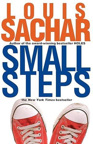 Small Steps (Holes Series)     Paperback – January 8, 2008 | Amazon (US)