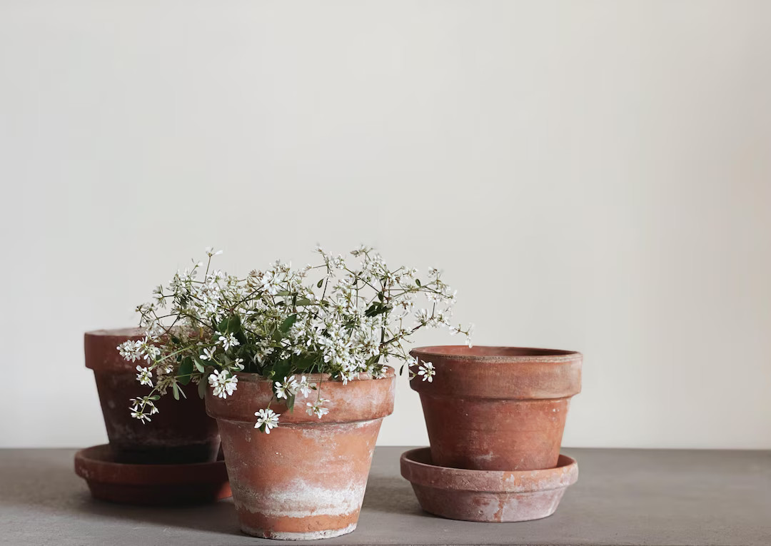 VINTAGE | Assorted Small Terracotta Pots | 4 to 5 1/2 Diameter | Authentic Aged Terracotta | Euro... | Etsy (US)