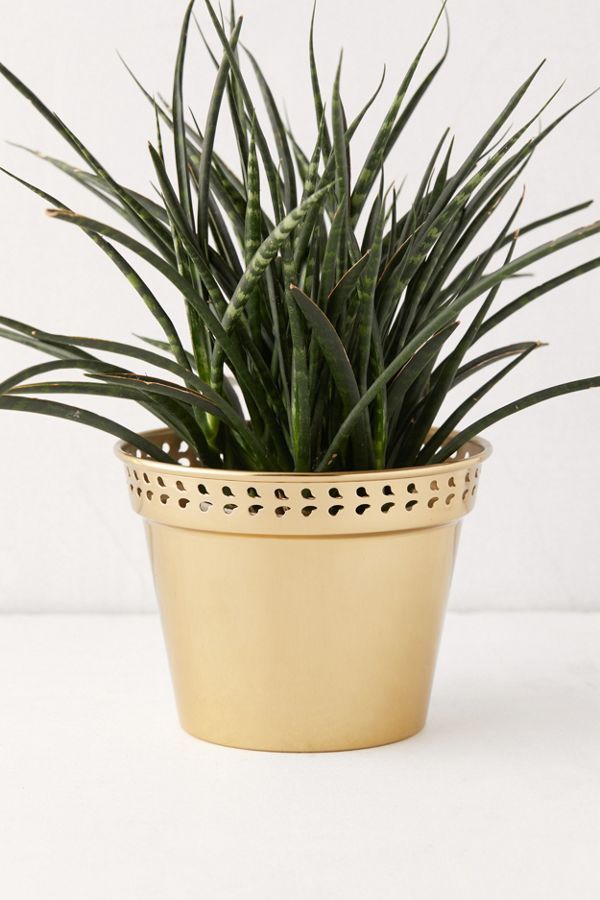 Punched Metal 6” Planter | Urban Outfitters (US and RoW)