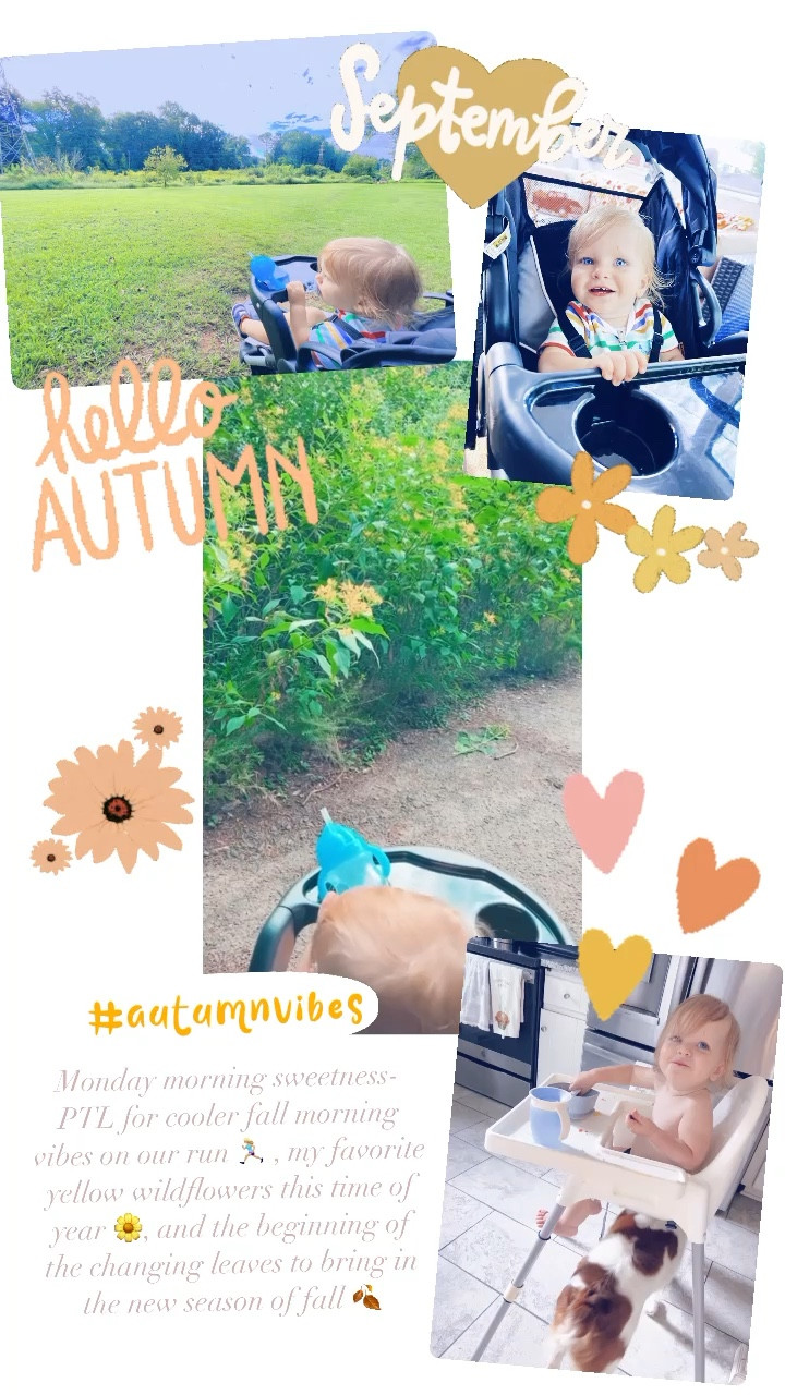Monday morning sweetness- PTL for cooler fall morning vibes on our run 🏃🏼‍♀️ , my favorite yellow wildflowers this time of year 🌼, and the beginning of the changing leaves to bring in the new season of fall 🍂 

#LTKSeasonal #LTKbaby #LTKfamily