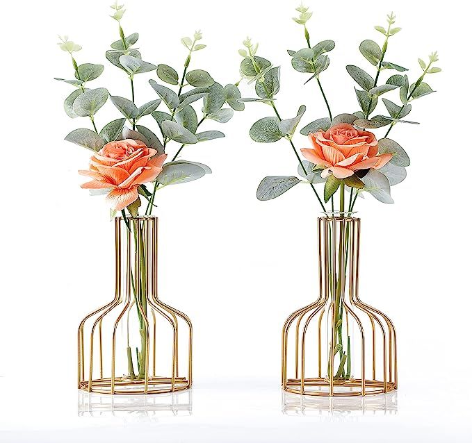 2PC Gold Flower Vase for Centerpieces Home Decor, Clear Glass Test Tube Vases Decorative, FUNTERE... | Amazon (US)